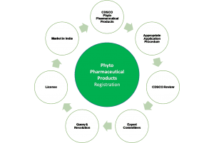 Phyto Pharmacetuicals Approval Process India